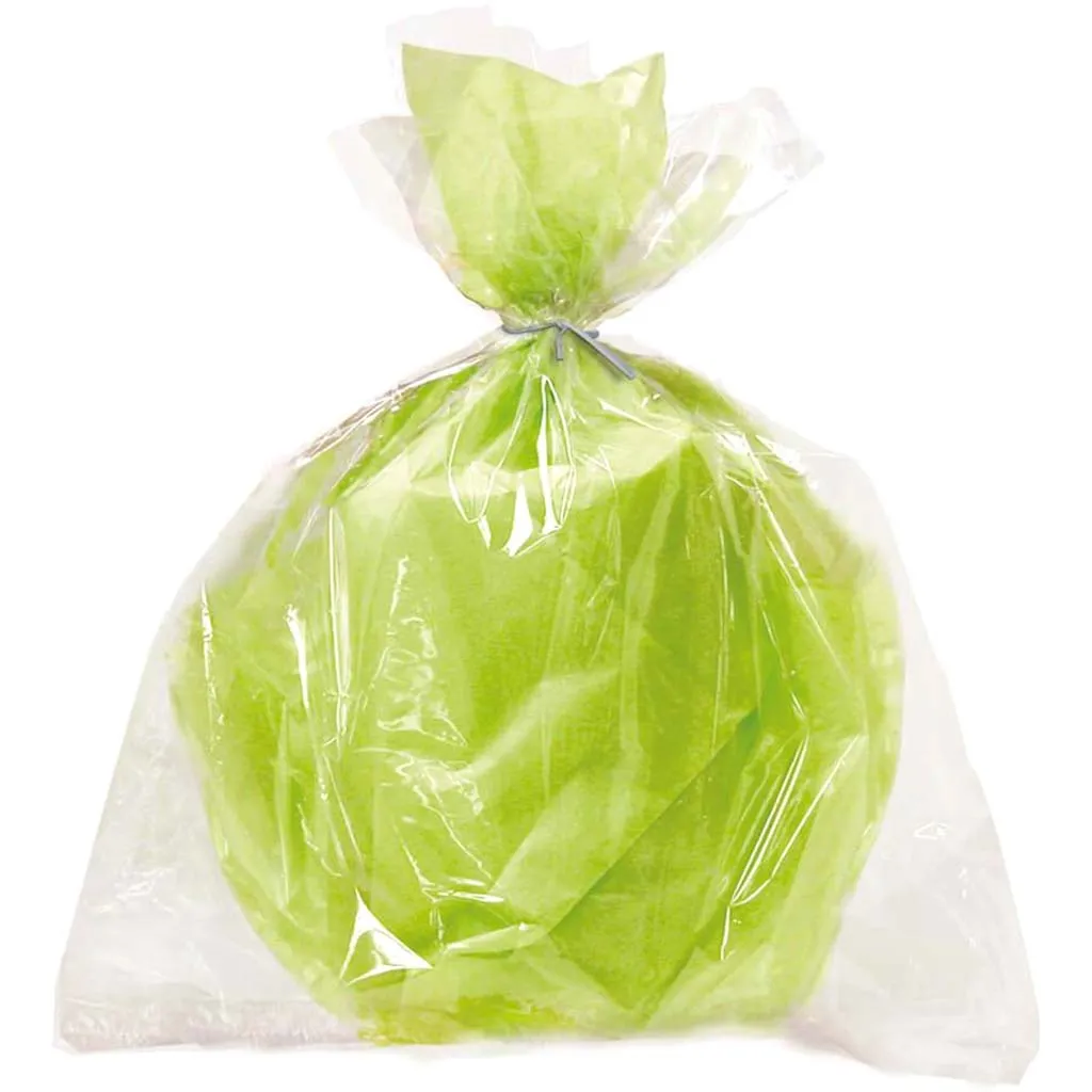 Cellophane Bags 20in x 16in 6ct, Clear Large